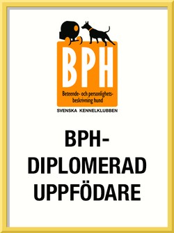 bph_uppfdiplom1