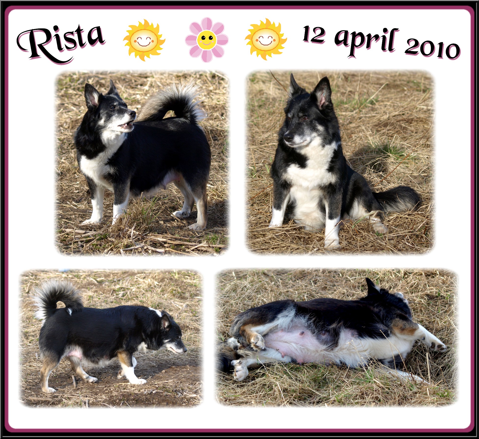 rista12april2010