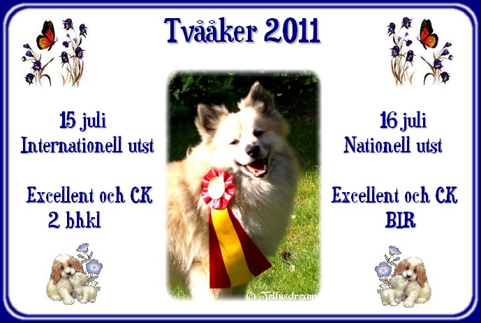 tvvaaker2011